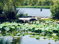 -武汉园博园(武汉自然博物馆)