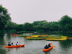 -西溪国家湿地公园