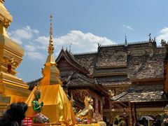 -西双版纳傣族园