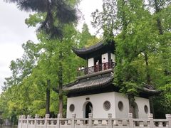 -汇龙潭