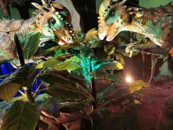 -恐龙探索乐园(磁器口店)