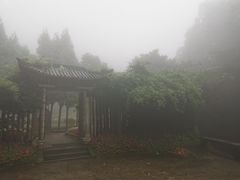 -庐山风景区花径公园