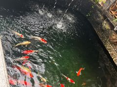 景观位-阿多私房菜(顺德店)