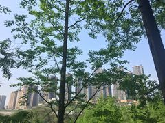 -重庆彩云湖湿地公园