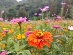 -贵阳市花溪国家城市湿地公园