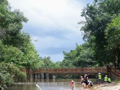 -广州白江湖森林公园