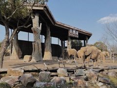 -上海野生动物园