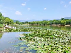 -门城湖公园