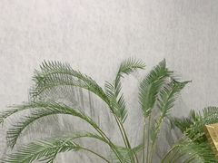 -大清花饺子(山庄店)