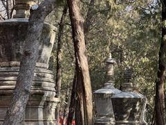 -潭柘寺景区