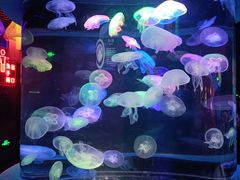 -太平洋海底世界