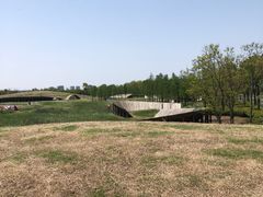 -春花秋色城市公园