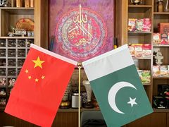 -Sultan pakistan苏单巴基斯坦
