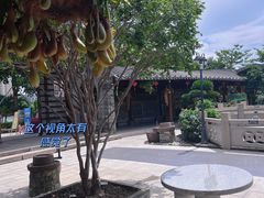 -顺德了能馆(虎门店)