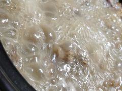 -蘑统田下·野生菌火锅