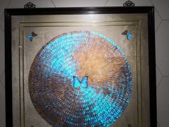 -上海昆虫博物馆