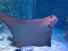 -沈阳海洋探索中心