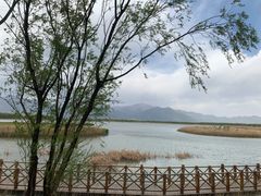 -野鸭湖国家湿地公园