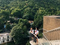 -南山植物园