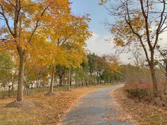 -浦星公路-路侧停车位