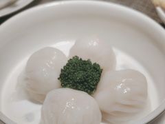 虾饺-皓粤·臻品荟