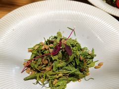 -本处·素食·融合料理(南油店)