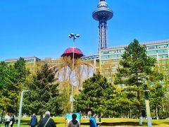 -龙塔