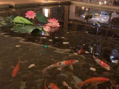 -采悦轩中餐厅·粤菜·海南菜(神州半岛喜来登度假酒店)