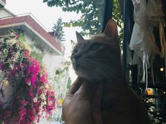-默迹咖啡馆