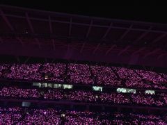 -南京奥林匹克体育中心-体育馆