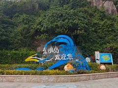 -东澳岛