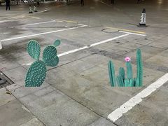 -宝安体育馆游泳馆