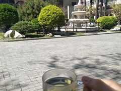 -静园(和平区)