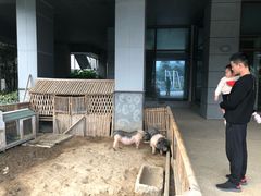 -宁波九龙湖开元度假村