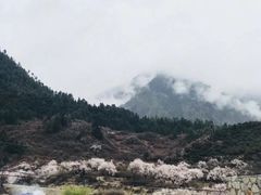 -佛掌沙丘