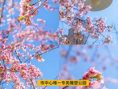 -顾村公园