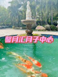 -馨月汇·独栋月子中心(南山店)