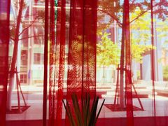 大堂-小龙坎老火锅(北京三里屯店)