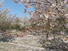 -广富林郊野公园