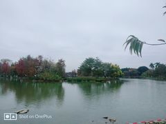 -海珠湖公园