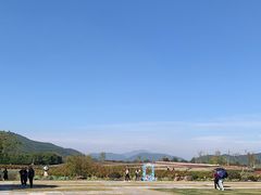 -径山花海