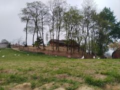 -照金红色旅游名镇