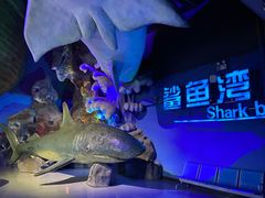 -泉城欧乐堡海洋极地世界