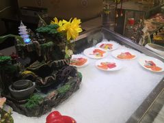 -339旋转餐厅(天府熊猫塔店)