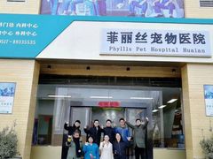 -菲丽丝宠物医院·24小时·猫科中心·免疫点(淮海分院)