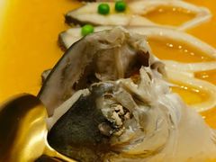 -骏莱海鲜鱼港(五角场店)