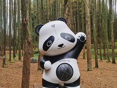 -山王坪喀斯特国家生态公园