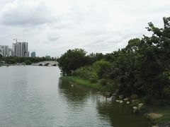 -飞来湖湿地公园