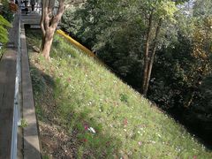 -西湖风景区-江洋畈生态公园