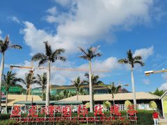 -亚龙湾国际玫瑰谷
